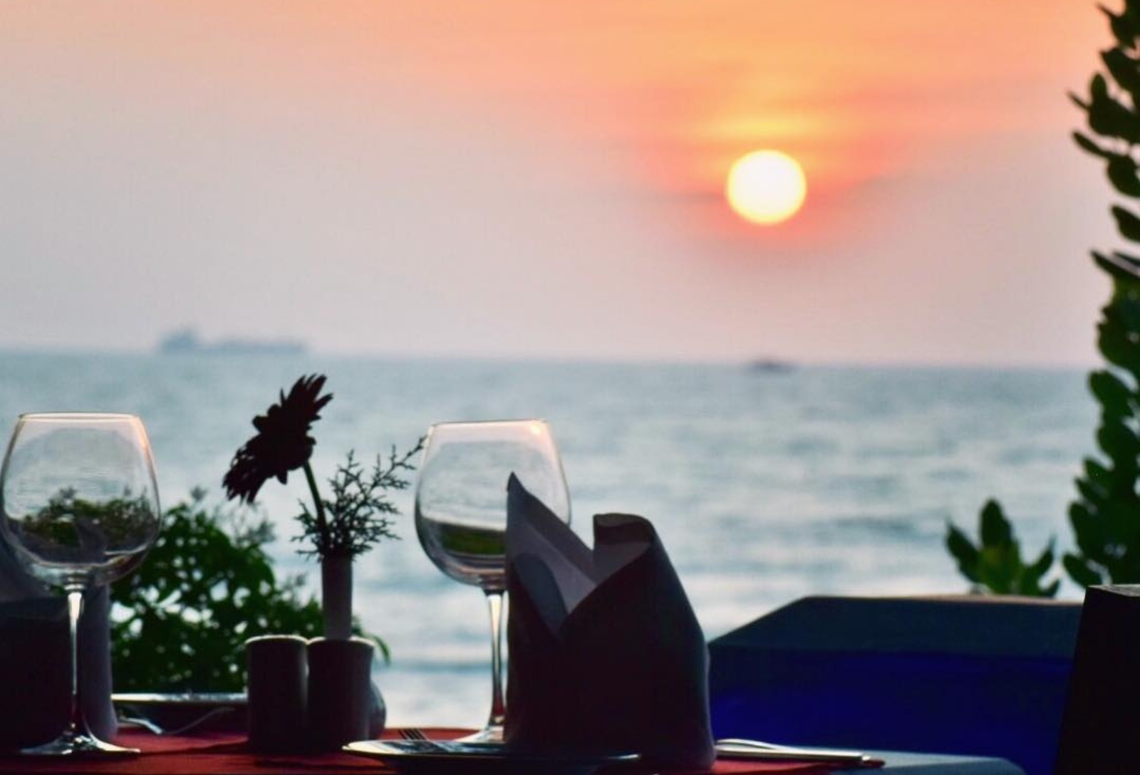 Looking for Beer and Wine in Kochi? Here’s How to Find the Right Place in Fort Kochi
